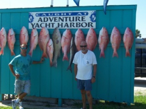 Captain Fish Catch