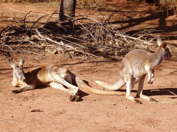 Western Australia WA