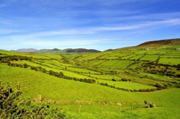 Countryt Donegal