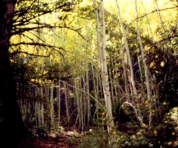 Idaho ID Tourist Attractions