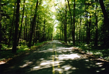 Michigan MI