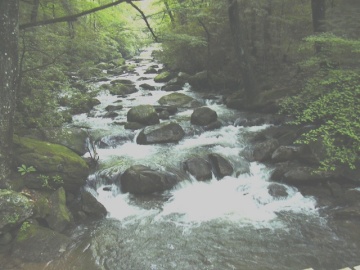 Greenville