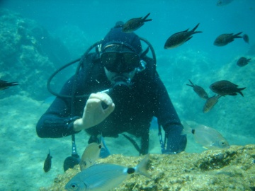 Australia Tourist Attractions Australia Tourist Attractions