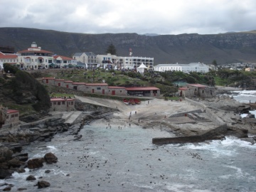 Hermanus