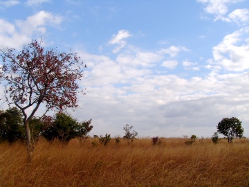 Zambia