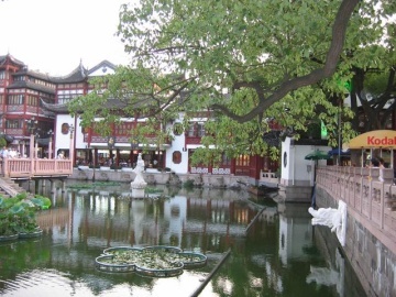 Shanghai