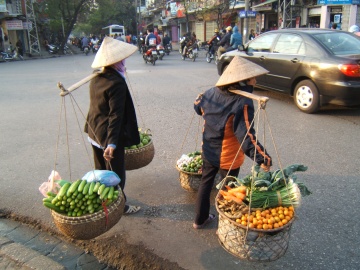 HA Noi