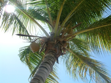 Gustavia