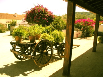 Silves