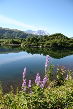 Garibaldi